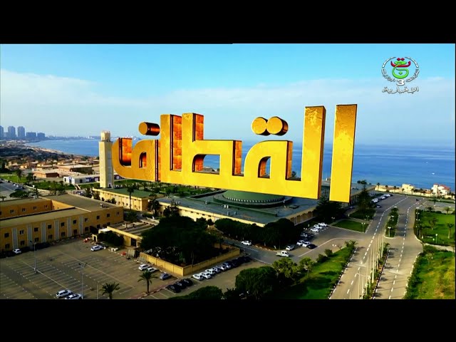 ⁣القطاف - الثلاثاء 31 ديسمبر 2024