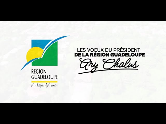 ⁣Voeux 2025 du président du conseil régional Ary Chalus