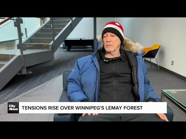 ⁣Court injunction aims to halt a tense standoff over Winnipeg's Lemay Forest