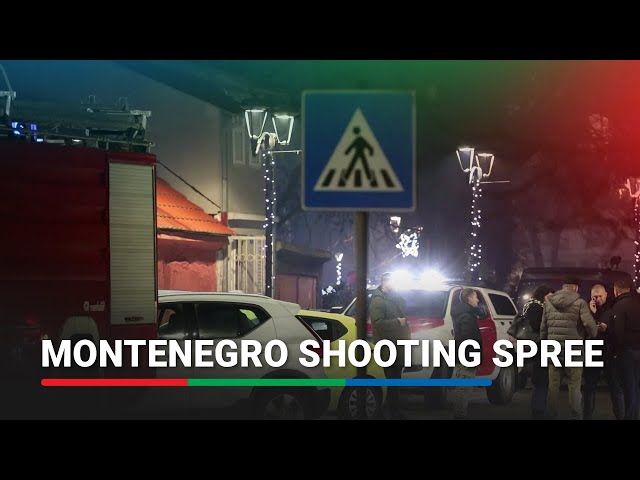 ⁣At least 10 killed in Montenegro shooting spree