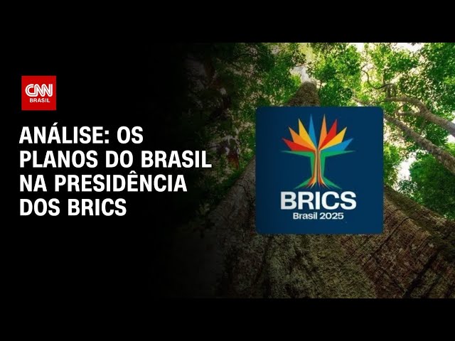 ⁣Análise: Os planos do Brasil na presidência dos Brics | WW