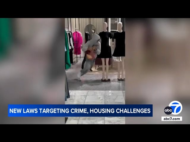 ⁣New CA laws in 2025 combat smash-and-grabs and housing challenges