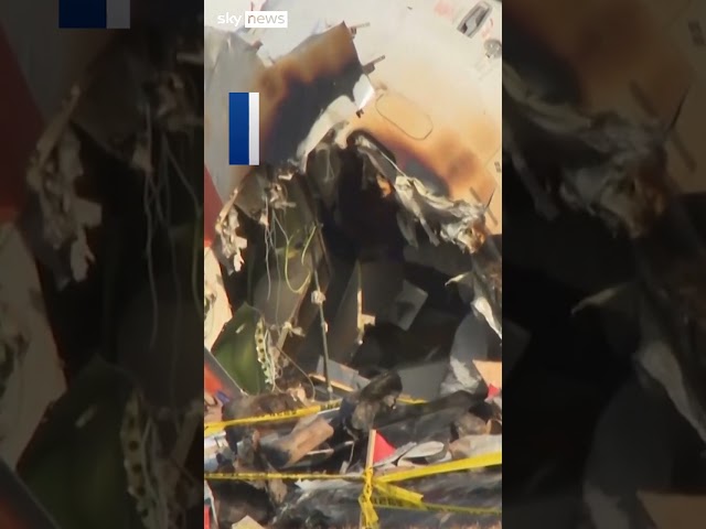 ⁣South Korea plane crash investigated