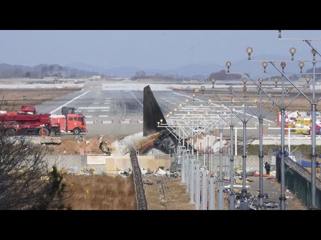 ⁣South Korean police raid Jeju Air offices as crash investigation continues