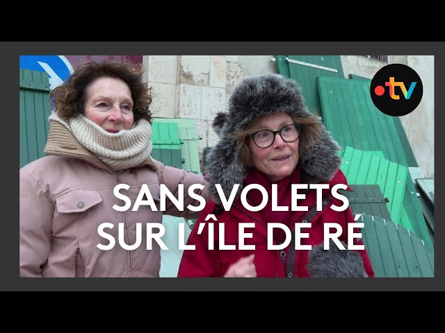 ⁣La cueillette des volets, une tradition sur l'île de Ré