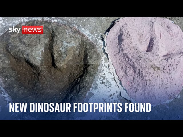 ⁣UK's biggest ever dinosaur footprint site found in Oxfordshire quarry