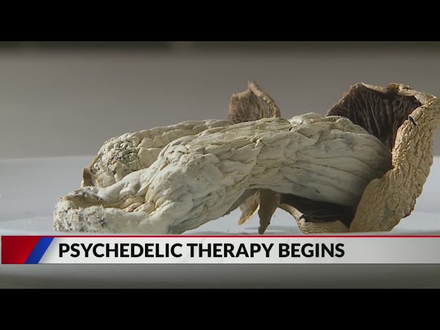 ⁣Psychedelic therapy begins in Colorado