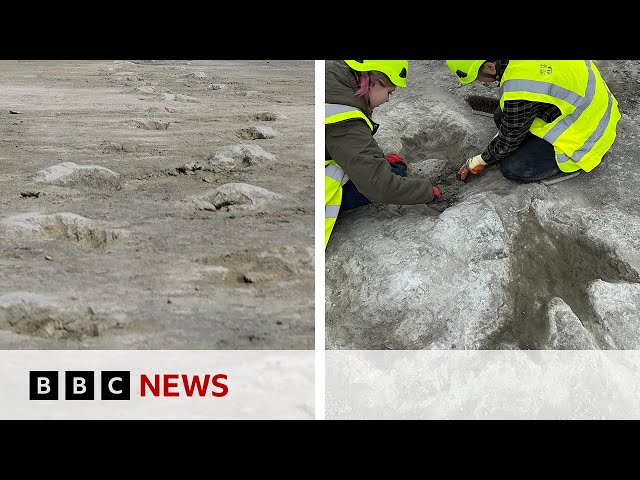 ⁣UK's biggest ever dinosaur footprint site discovered | BBC News