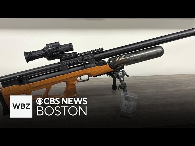 ⁣Massachusetts man allegedly shot air rifle at tree workers and more top stories