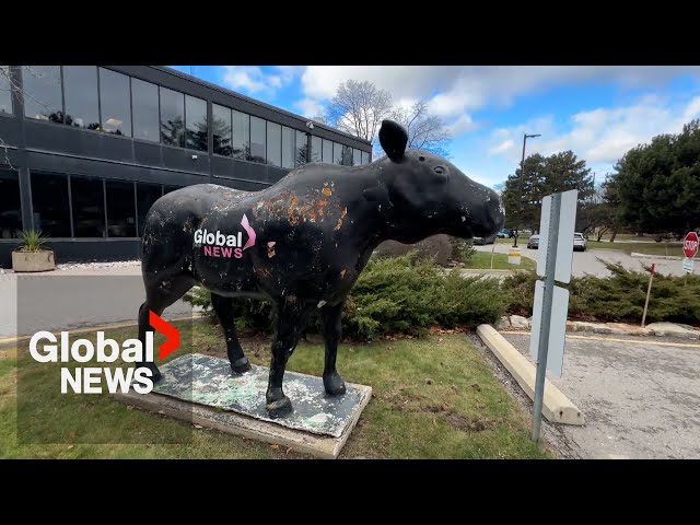 ⁣Moose Milestone: Fiberglass statues celebrate 25 years