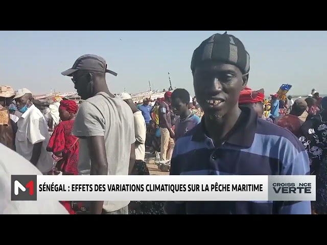 ⁣#CroissanceVerte..Sénégal : Effets des variations climatiques sur la pêche maritime