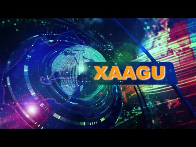 ⁣Xaagu 19h du 02/01/2025