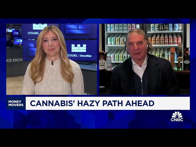 ⁣We think Trump may support cannabis legalization, says Tilray CEO Irwin Simon