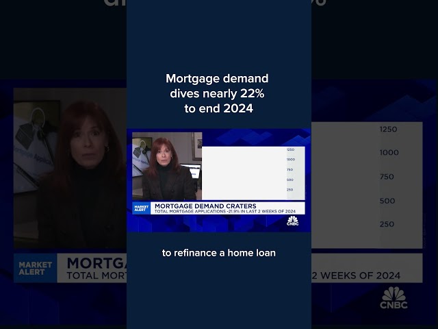 ⁣Mortgage demand dives nearly 22% to end 2024