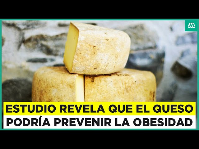 ⁣El queso ayudaría a prevenir la obesidad