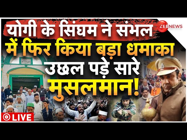 ⁣Sambhal Survey News Update LIVE: योगी के सिंघम ने संभल में मचाया तहलका, उछल पड़े सारे मुसलमान!