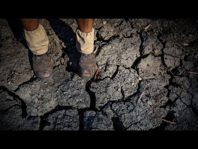 ⁣South Australia to endure its worst drought conditions in 40 years