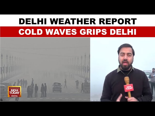 ⁣Delhi Weather News: Cold Wave Sweeps North India, Blinding Fog In Several Cities | India Today