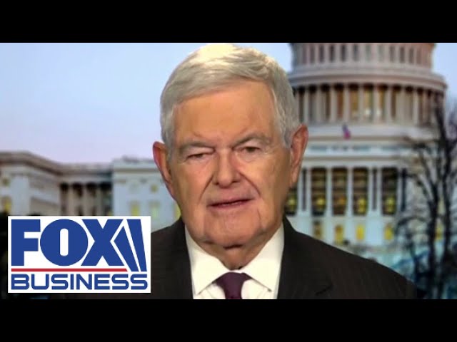 ⁣Newt Gingrich praises Mike Johnson for patience and calmness