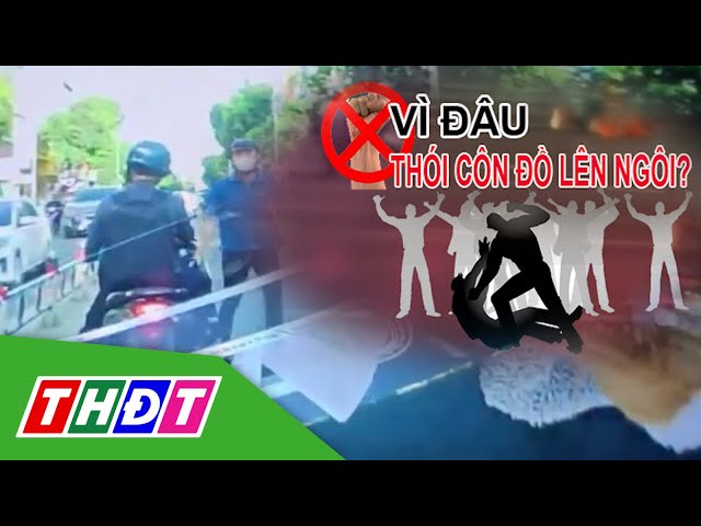 ⁣Vì đâu thói côn đồ lên ngôi? | THDT