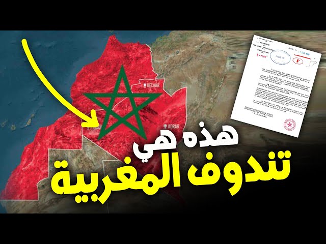 ⁣وثيقة دبلوماسية تاريخية تثبت أن منطقة تندوف أرض مغربية وكيف تنازلت عنها الجزائر لصالح البوليساريو