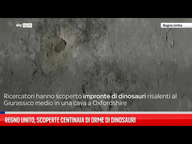 ⁣Regno Unito, scoperte centinaia di orme di dinosauri