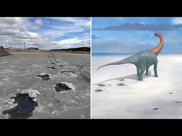 ⁣Des empreintes de dinosaures vieilles de 166 millions d'années découvertes au Royaume-Uni