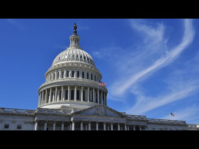 ⁣LIVE: House holds vote to elect speaker | NBC News