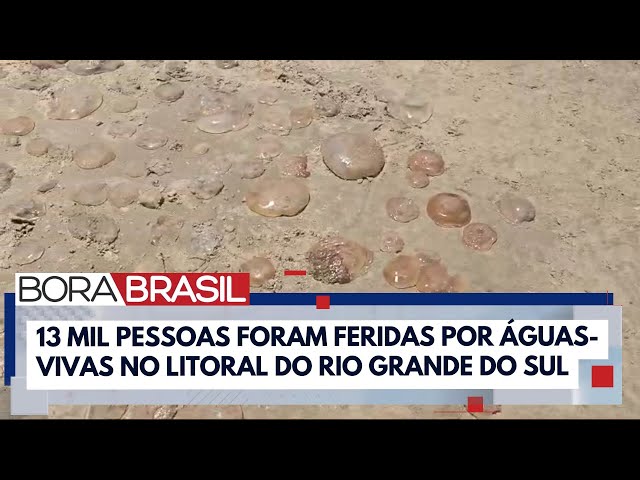 ⁣RS tem recorde de queimaduras com 13 mil feridos em 12 dias por águas-vivas | Bora Brasil