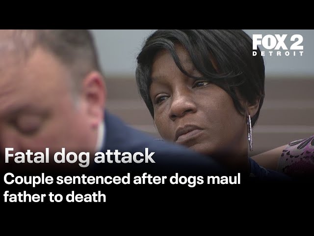 ⁣'A hole in our hearts': Wife of dog attack victim speaks at sentencing