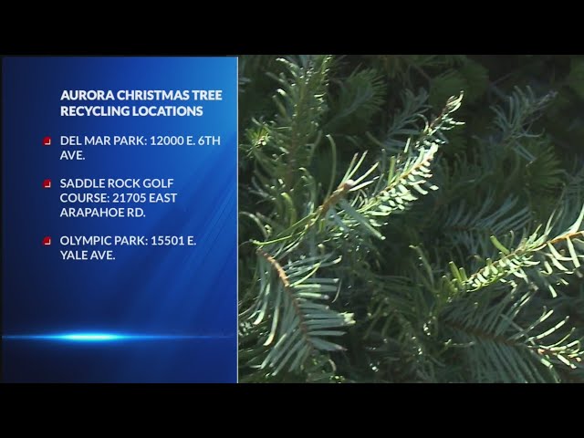 ⁣Where to recycle your Christmas tree in the Denver metro