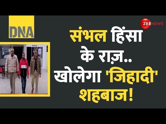 ⁣DNA: संभल हिंसा के राज़..खोलेगा 'जिहादी' शहबाज! | Sambhal Violence Update | Jama Masjid | 