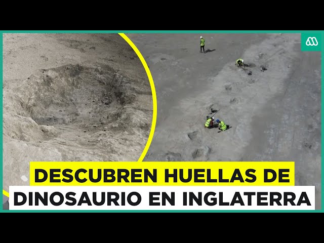 ⁣Descubren huellas de dinosaurio gigantes en Inglaterra