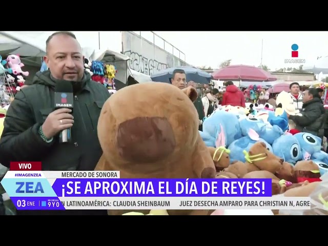 ⁣Peluches de capibara, uno de los juguetes más pedidos este Día de Reyes Magos | Francisco Zea