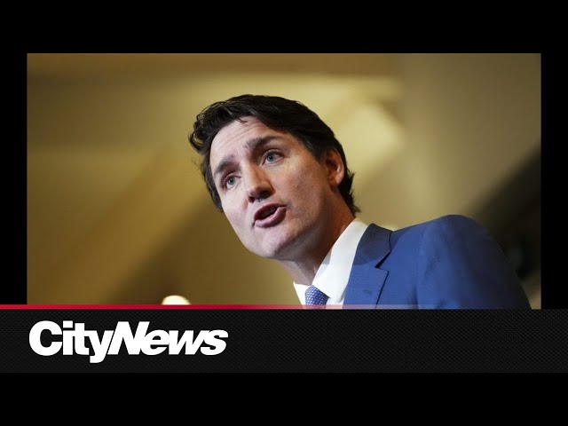 ⁣Trudeau facing tariff threat and questions over his own future