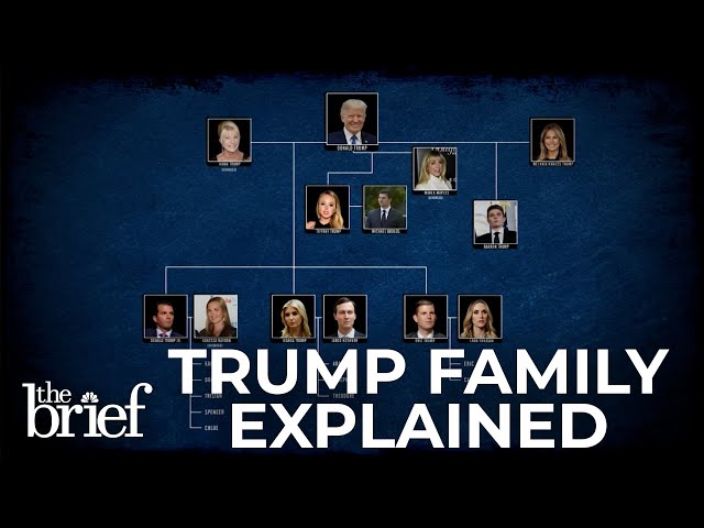 ⁣Trump family explained: What role will Donald Trump's family play in his presidency?