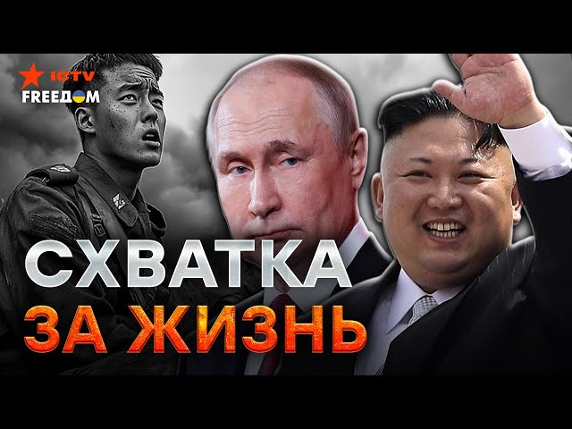 ⁣Путин В АУТЕ! КНДР ПОЖИРАЕТ Россию ⚡️ Плешивый ПОЛЗАЕТ на КОЛЕНЯХ перед ВОЯКАМИ