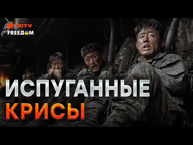 ⁣ДЕРЗКИХ корейцев УЛОЖИЛИ на ЛОПАТКИ  Вояки СПЕКЛИСЬ под КУРСКОМ! Ким ПОПЛЫЛ от СТРАХА