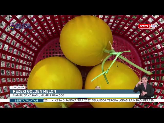 ⁣4 JANUARI 2025 BERITA WILAYAH – REZEKI GOLDEN MELON MAMPU JANA HASIL HAMPIR RM6,000