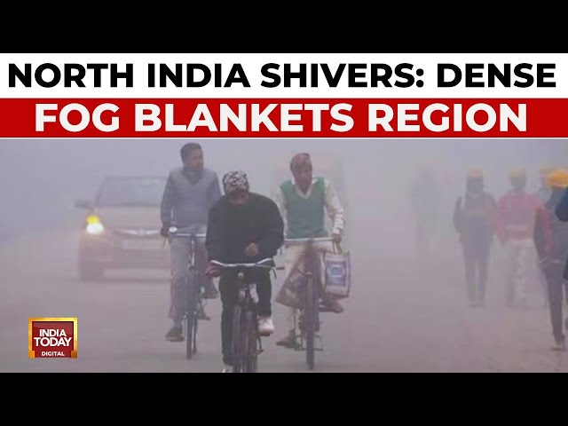 ⁣Cold Wave Grips North India: Dense Fog Disrupts Flights, Trains And Daily Life | India Today