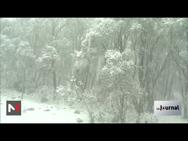 ⁣Alerte météo au Maroc : fortes averses orageuses et chutes de neige dans plusieurs provinces