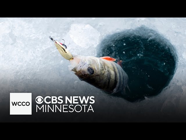 ⁣Temps are finally cold enough for ice fishing on Lake Minnetonka