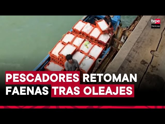 ⁣Pescadores de Tumbes reanudan actividades tras días de fuertes oleajes