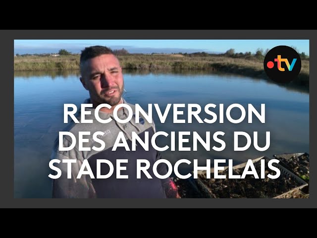 ⁣Reconversion des anciens joueurs du Stade Rochelais