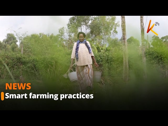 ⁣Women embracing smart farming practices blending Indigenous knowledge to combat climate change