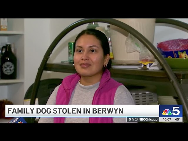 ⁣Suburban family pleads for return of dog taken in stolen vehicle