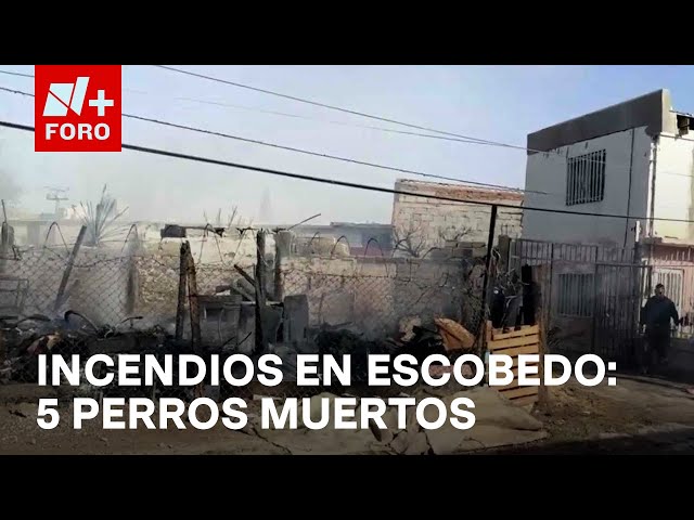 ⁣Incendio en basurero de Escobedo y fuego destruye viviendas en Ciudad Juárez - Las Noticias