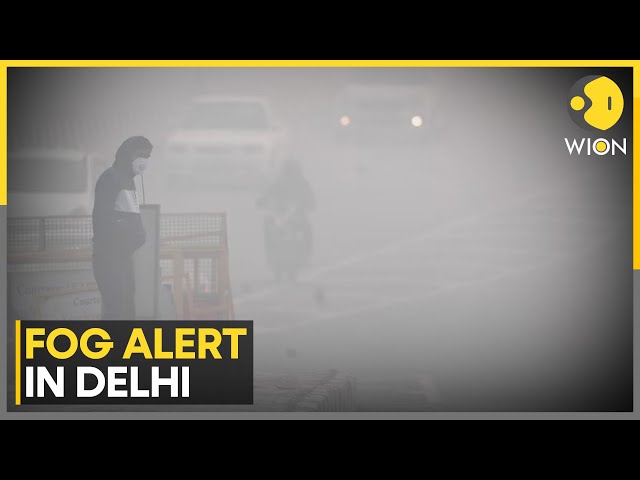 ⁣Fog Alert In Delhi: Hundreds Of Flights Delayed | World News | WION