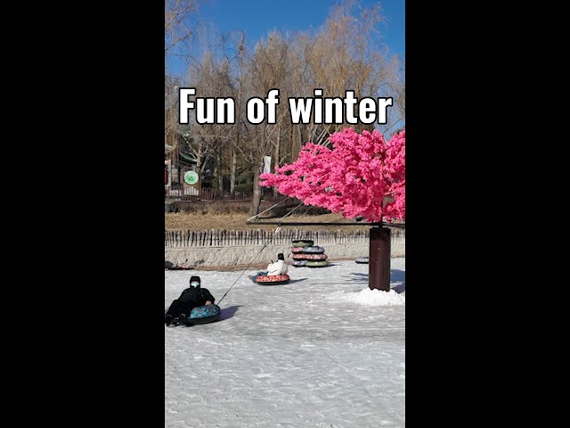 ⁣Ice and snow carnival in full swing in Beijing park