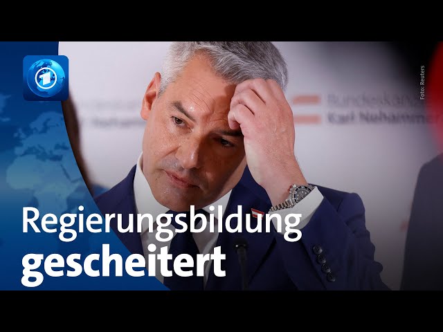 ⁣Österreich: Wie geht es nach dem Rücktritt von Kanzler Nehammer weiter?